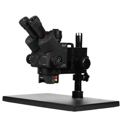 p-19